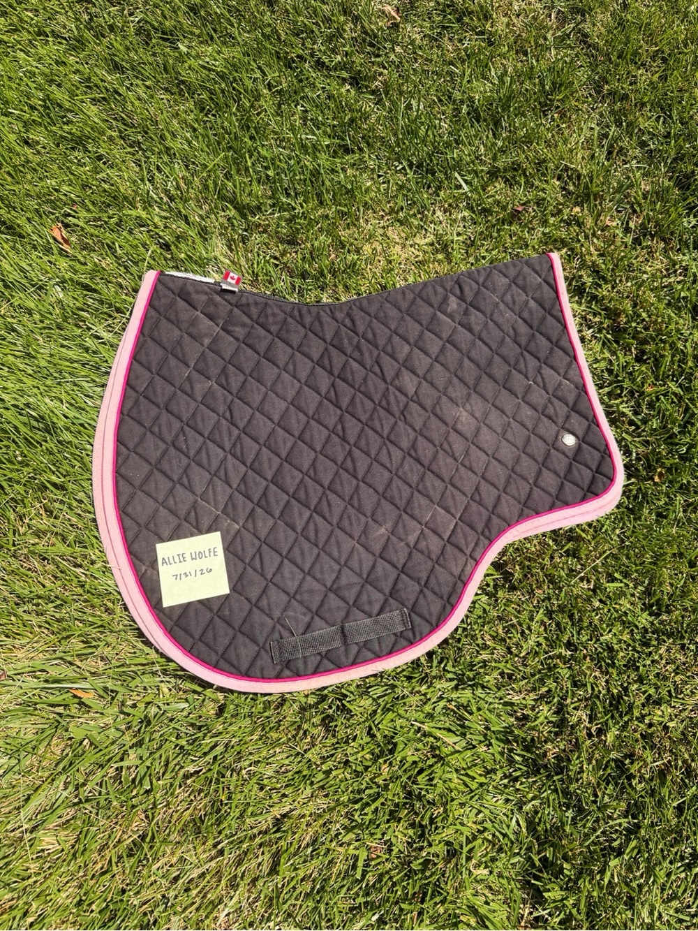 Ogilvy Saddle Pad